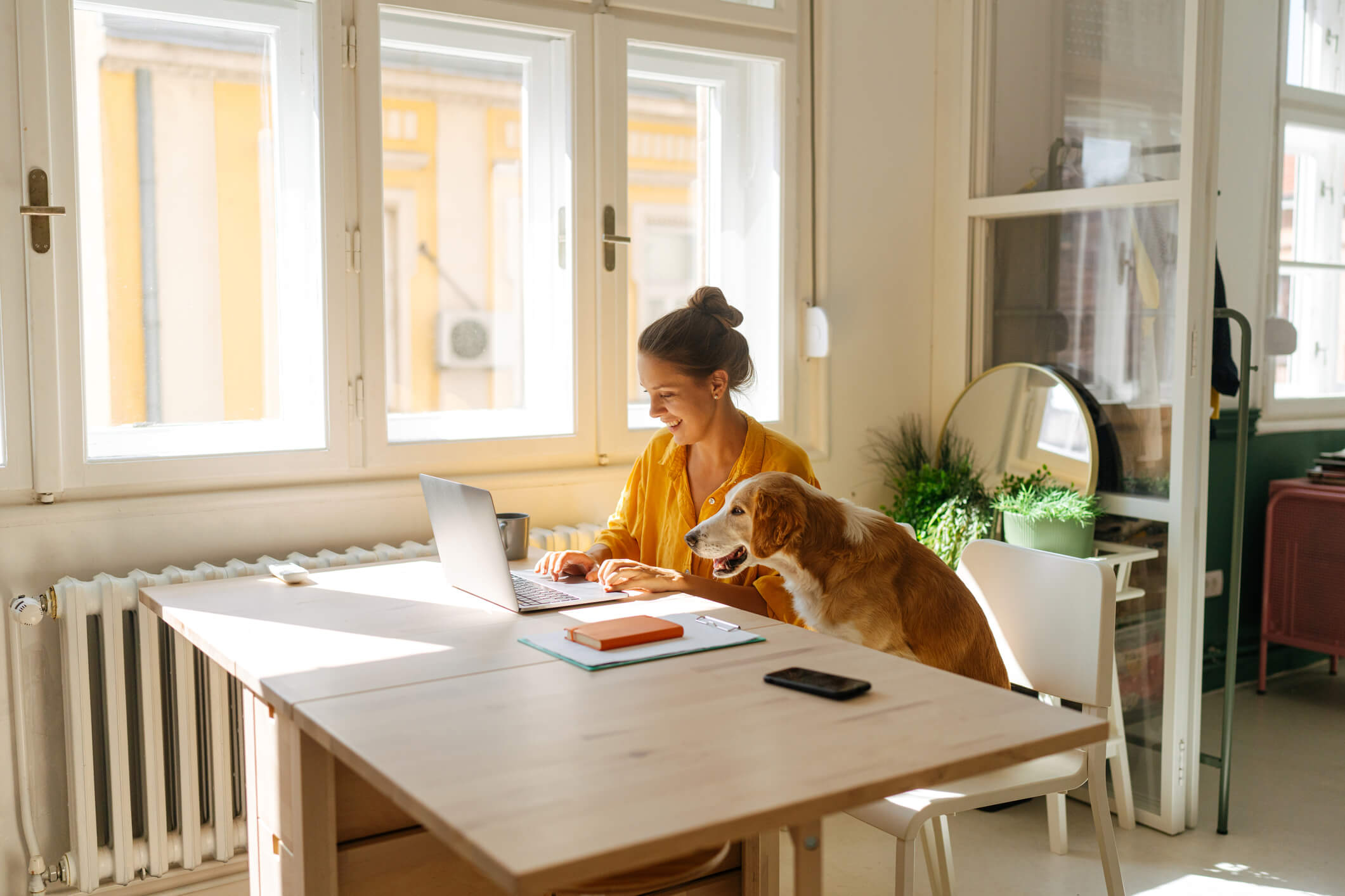 woman with pet on computer